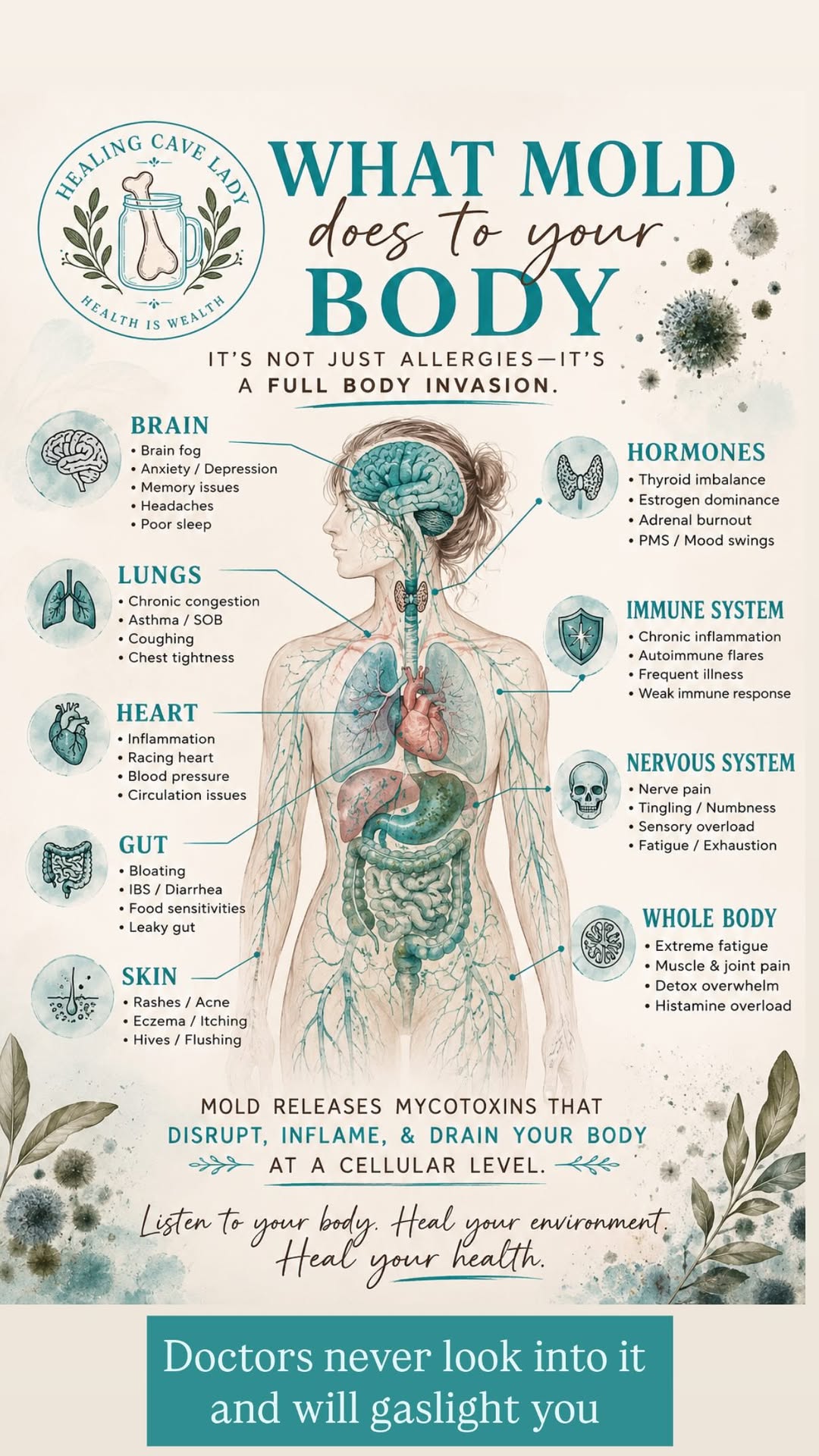 Healing Cave Lady infographic mapping possible mold-related discussion topics across nine body systems